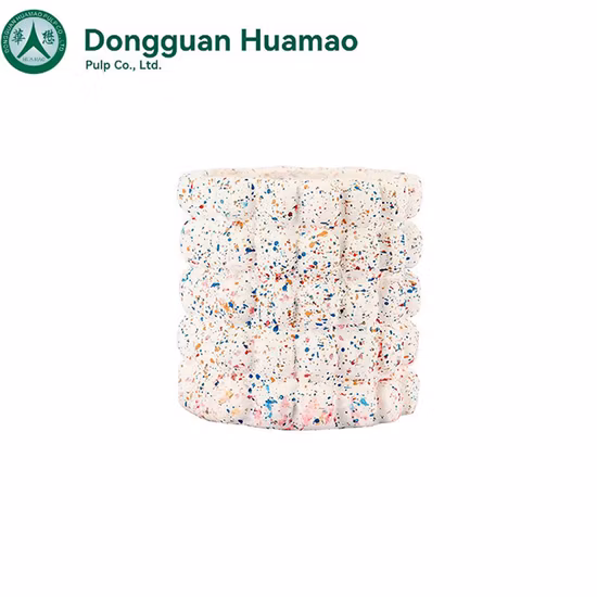 Portalápices favorito con suministros de papelería perfectos para tortugas